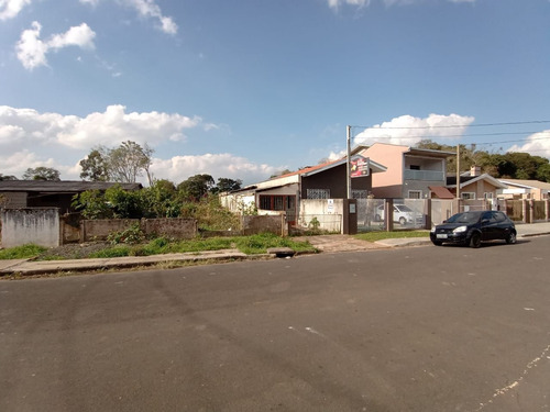 Imagem 2 de 2 de Terreno À Venda - Te0266