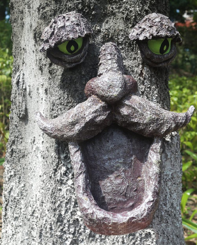 Comedero Para Pajaro Salvaje Cara Arbol Decoracion Anciano