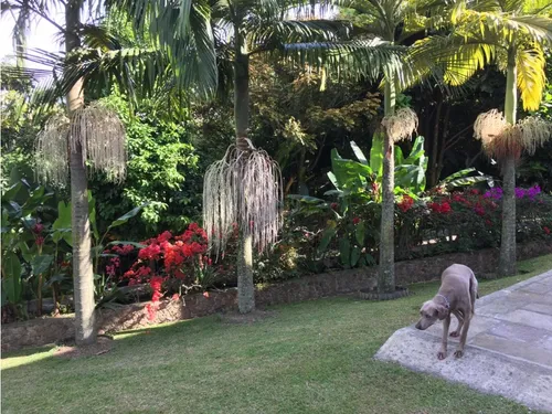 Medellin Venta De Espectacular Casa Con Diseño Y Ubicación Inmejorable
