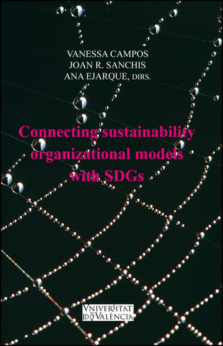 Libro Connecting Sustainability Organizational Models Wit...