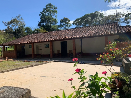 Vendo Finca Palmas Del Socorro