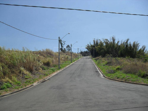 Imagem 4 de 7 de Terreno À Venda Em Joaquim Egídio - Te005159