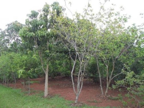 Imagem 11 de 30 de Terreno No Vale Do Sol Com Casa Simples Para Demolição - Ch00335 - 3519161
