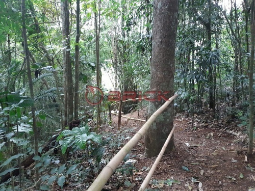 Imagem 16 de 18 de Ótimo Terreno Com 7390 M² No Bom Retiro. Teresópolis- Rj. - Te00258 - 34349368