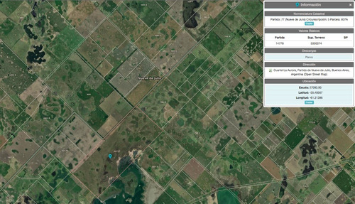 Imagen 2 de 3 de Venta Campo En Nueve De Julio (la Niña) 500 Hs Agrícola