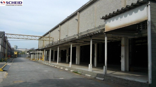 Imagem 5 de 15 de Excelente Galpão Industrial, Nas Marginais Próximo Do Shopping Sp-market - Mr49430