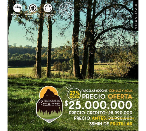 Imagen 9 de 12 de Parcela Region De Los Lagos, 5000 M2 Luz Agua