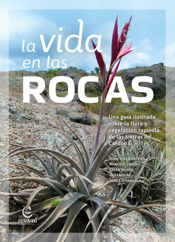 Vida En Las Rocas Flora Y Vegetación Rupicula- Libro Ecoval 