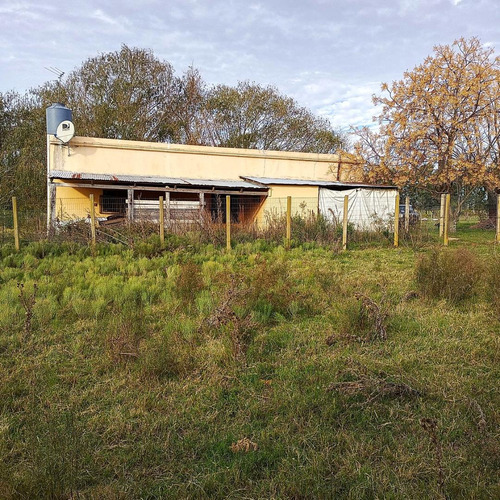Imagen 9 de 16 de Venta Chacra De 7 Ha. En Zona De Gran Potencial