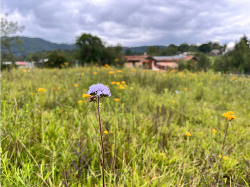 Terreno En Venta En Acatitlán | Valle De Bravo