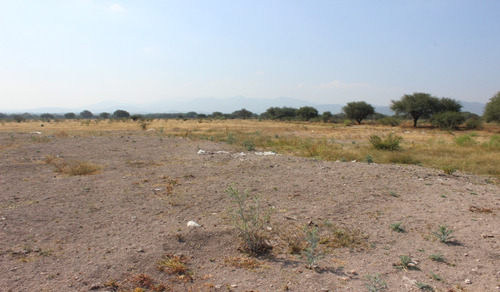 Terreno En Venta En Pedro Escobedo