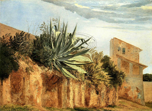 Lienzo Tela Canvas Arte Agave Hacienda México 100 X 74