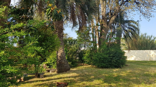 Imagen 11 de 20 de Casa En Venta En Maldonado, Punta Del Este