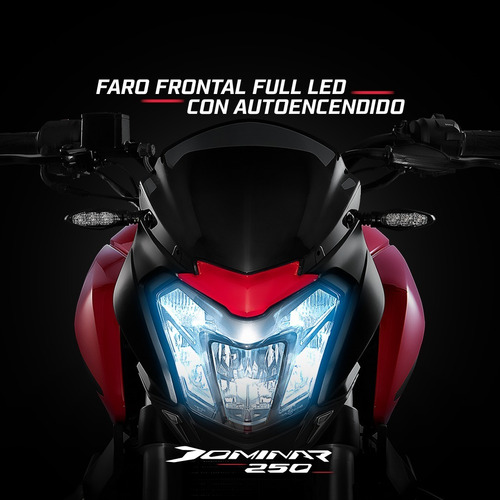 Imagen 11 de 19 de Bajaj Dominar 250 Abs 0km Naked Fi Nuevo Modelo Chakan