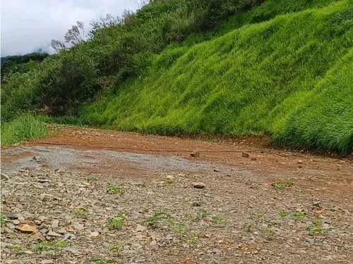 Lote Campestre Titiribi  