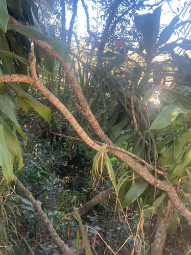 Imagem 6 de 14 de K12-41- Lote Com Escritura Em Arujá!