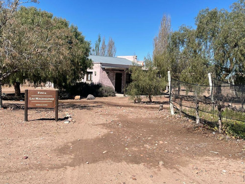 Imagen 16 de 22 de Viñedo Premium De Altura En Mendoza En Venta Sobre Fracción De 23 Has - Oportunidad