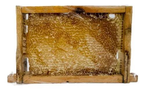 comprar Favo De Mel Puro Na Madeira Abelhas Nativas Artesanal 750g