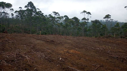 Imagem 4 de 14 de 01- Terrenos Liberado Para Construção Em Mogi Das Cruzes !