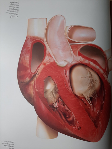 Historia Del Corazón. Astrazeneca. 2007