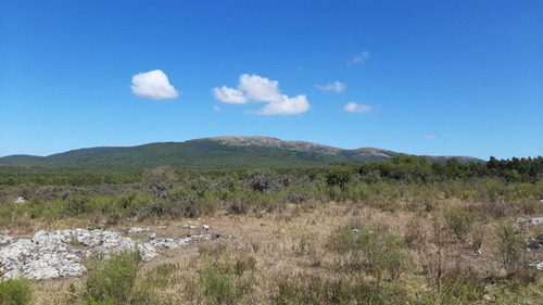 Chacra En Ruta Interbalnearia A 10 Minutos De La Playa.