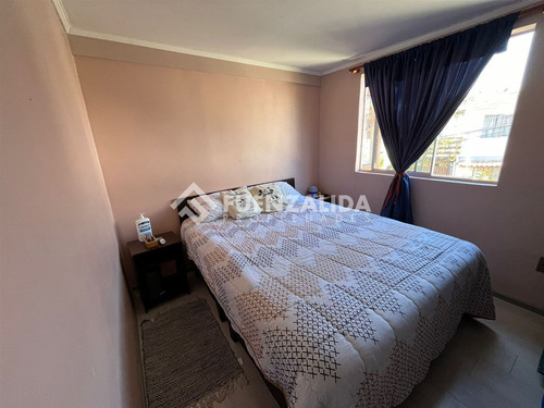 Casa En Venta 5d 2b Reñaca Alto
