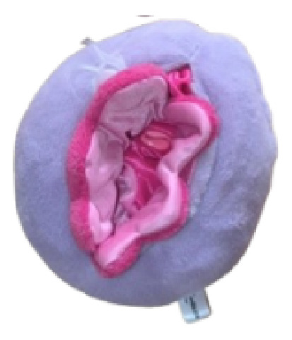 Kit Educacion Sexual, Vulva Con Lito Y Pene