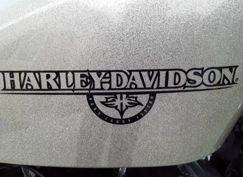 Imagen 14 de 14 de Harley Davidson