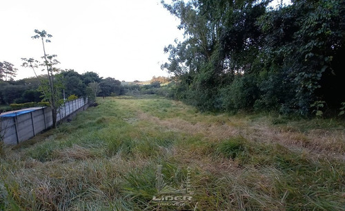 Imagem 2 de 4 de Terreno Para Chácara Campo Novo Bragança Pta - Te0268-1