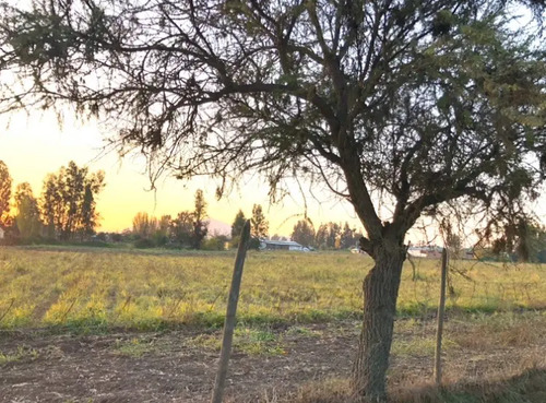 Venta Parcela Plana En Pabellón Melipilla Uf 3.700