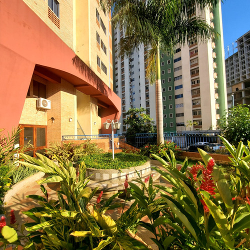 Yz Se Alquila Apartamento En Los Mangos Res. Minotaure Palac