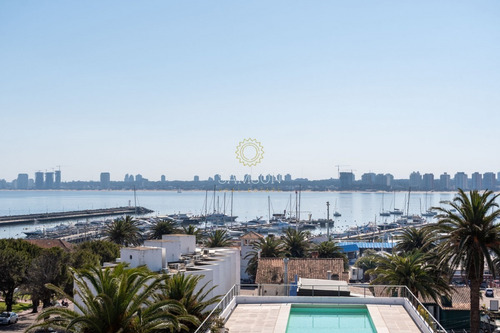 Oportunidad Apartamento Moderno Con Piscina Gala Puerto Punta Del Este- Ref: 63656
