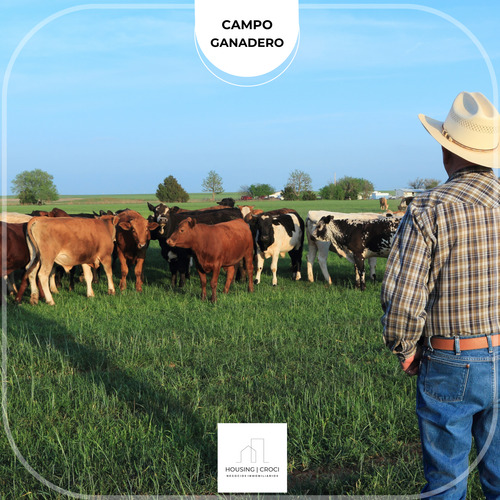 Paysandú, Campo Criador Ganadero