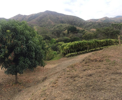 Imagen 30 de 30 de Parcela Con Bienhechurías En San Juan De Los Morros, Guárico