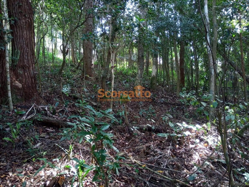 Imagem 3 de 4 de Terreno À Venda, Parque Yara Cecy, Itapecerica Da Serra/sp. - 5899