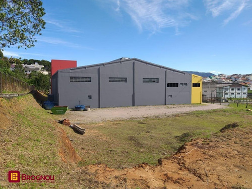 Imagem 3 de 14 de Galpao/deposito - Forquilhas - Ref: 38507 - V-gp41-38507