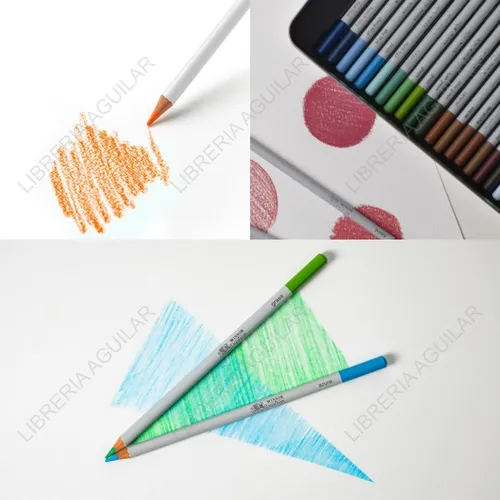 Kit 24 Lapiz Color Winsor And Newton Studio Collection Block