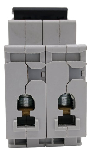 Interruptor Termomagnetico S202m-d1 2p 1amp Curva D