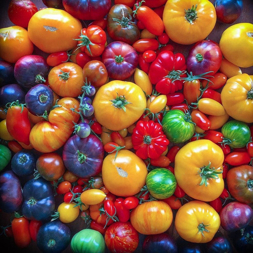 Mix 50 Semillas Variedad Tomates Reliquia Organicas Premium