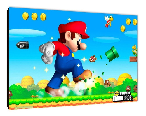 Cuadros Poster Videojuegos Mario Bros L 29x41 (ros (1)