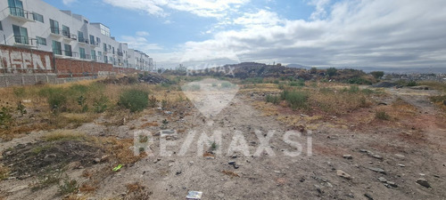 Rtv Terreno Venta Paseo Constitucion - Sombrerete