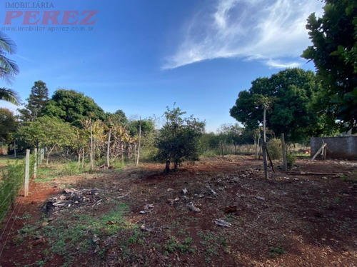 Imagem 21 de 22 de Chácaras_sítios_fazendas Para Alugar - 13650.8219