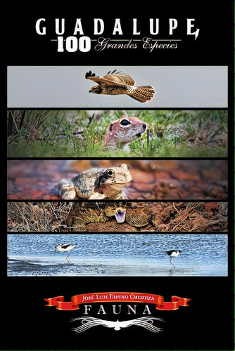 Guadalupe 100 Grandes Especies, De Oropeza, Jose Luis Espino. Editorial Createspace, Tapa Blanda En Español