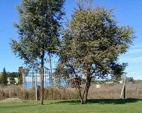Imagen 30 de 30 de Se Vende Terreno De 15.700 M2, Con Dos Casas Y Base Para Galpon