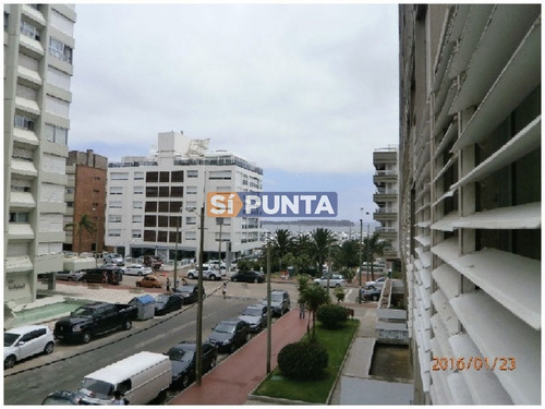 Imagen 14 de 22 de Apartamento En Peninsula, 2 Dormitorios *
