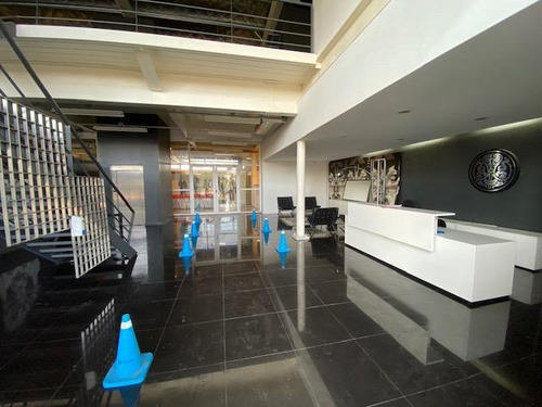Imagen 2 de 21 de Oficinas - Troncos Del Talar