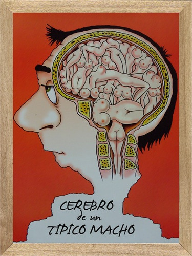 Frase Cerebro Medicinales,   Cuadro, Poster  Cartel, M337