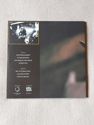 Demon Head - Thunder On The Fields (vinilo)