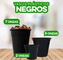 Comprar Vasos Plásticos Desechables Negros Selva 5 Onzas Por Bulto
