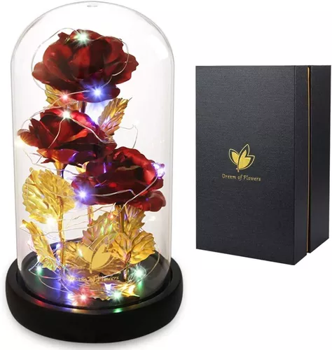 Regalos para el día de San Valentín para ella, regalo para mujer, rosa  arcoíris en cúpula de cristal con luz LED, flor artificial para siempre,  regalos únicos para novia, regalos para el